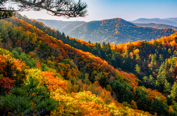 吉林長白山紅石峰景區(qū)售檢票系統(tǒng)價格.png