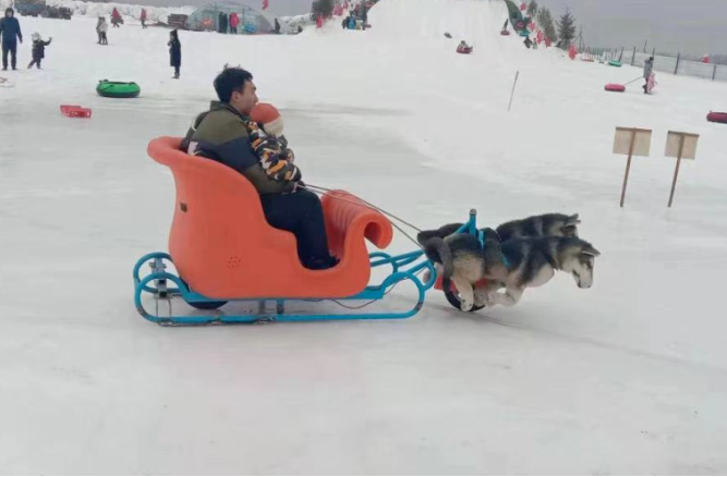 吉林遼源東豐縣西城花海冰雪樂園電子票系統(tǒng)公司.png