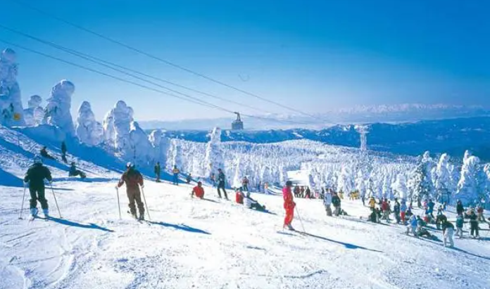 臨沂茶山滑雪場專用通道閘機功能.jpg