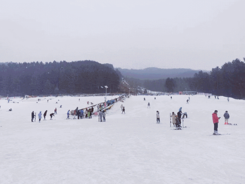 青海西寧市康樂山莊滑雪場綜合票務系統功能.png