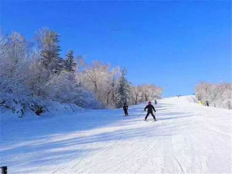 黑龍江哈爾濱月亮灣滑雪場綜合管理系統(tǒng)公司.png