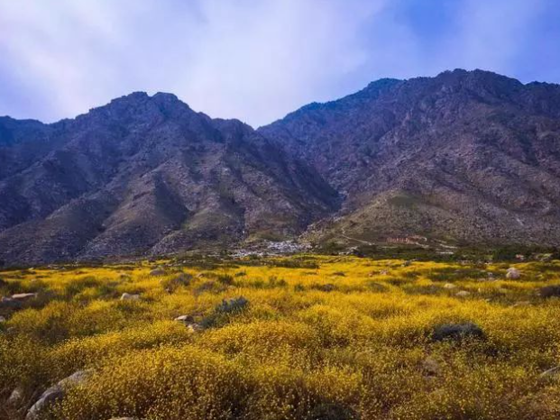 寧夏銀川賀蘭山大峽谷旅游景區電子票分銷系統多少錢.png