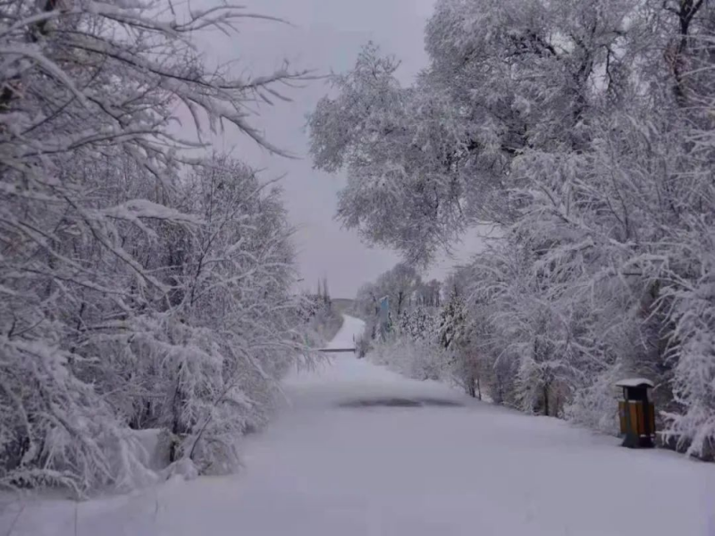 山西太原玉泉山冰雪樂園押金系統(tǒng)價格.png