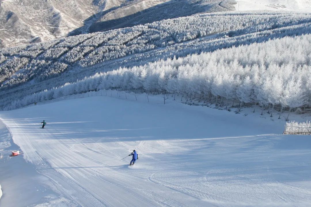 河北省張家口市多樂美地滑雪場押金系統公司.jpg