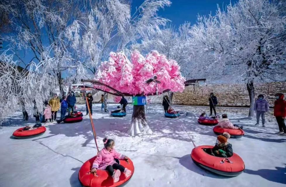 日照天臺山旅游區冰雪樂園新型通道閘機功能.png