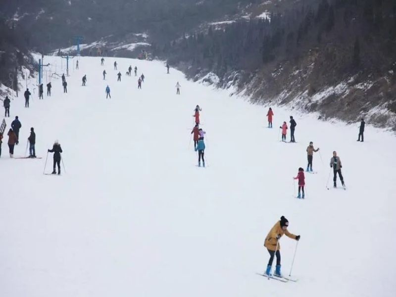 山西省晉中市多喜愛兒童戲雪樂園電子票系統公司.png