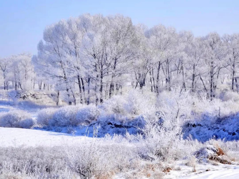 江蘇淮安古淮河嬉雪樂園電子票系統功能.png