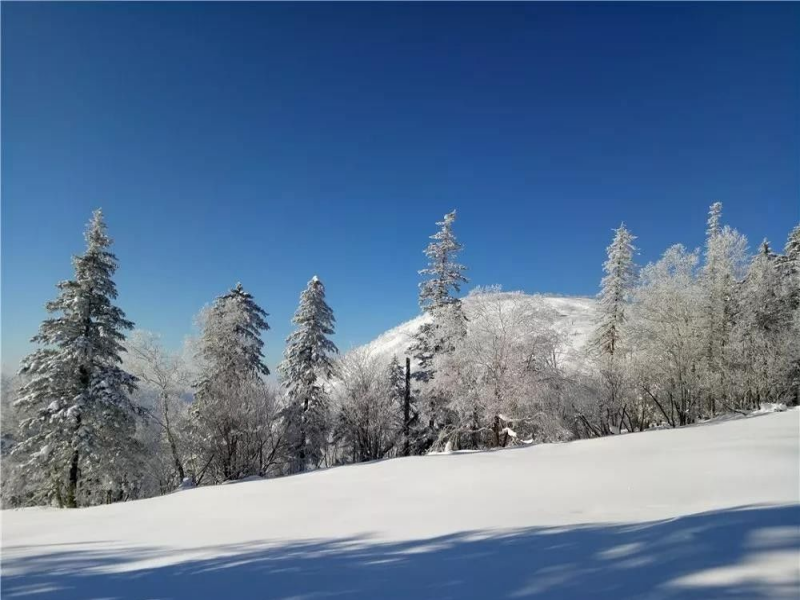 河北廊坊新繹農場冰雪樂園一卡通系統價格.png