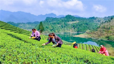 旅游景區(qū)智能綜合管理系統(tǒng)好處.png