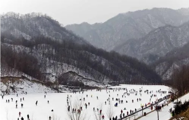 老界嶺滑雪場分銷系統多少錢.png