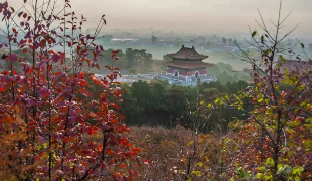 河北省唐山市清東陵景區綜合管理系統的方案.png