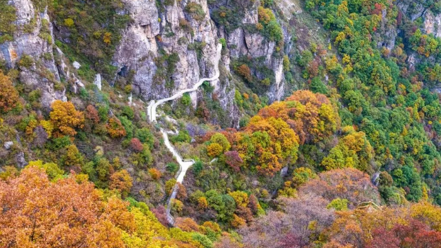 河北省保定市白石山景區綜合管理系統好處.png