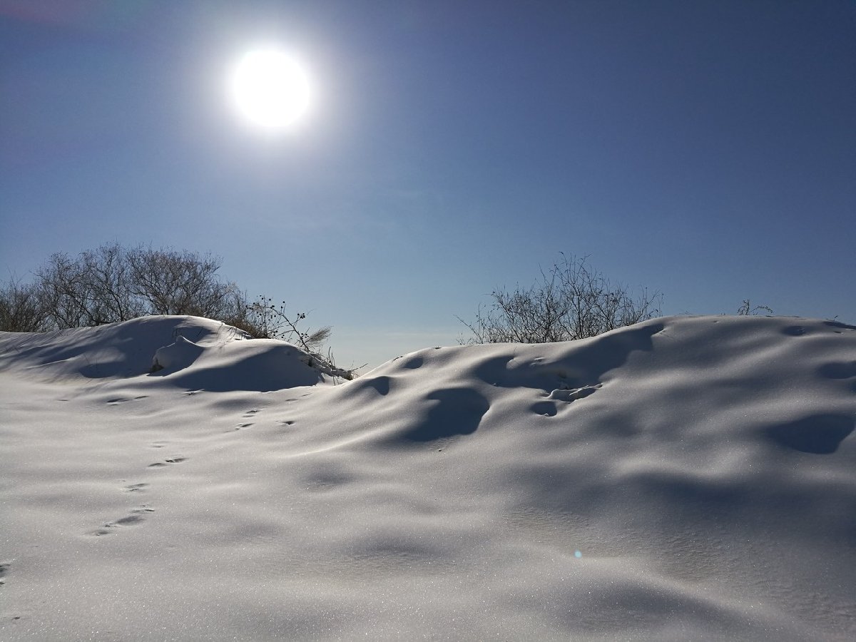 天津綠動雪鄉票務分銷系統功能需求.jpg