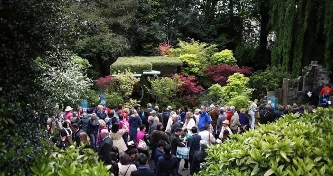 江蘇哈畔公園旅游景區一卡通管理系統功能.png