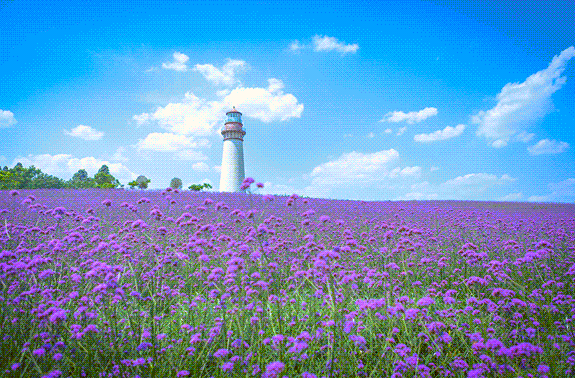 四川成都紫頤香薰山谷景區智慧景區小程序好處.png