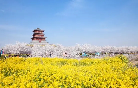 河南滎陽古柏渡櫻花園分銷管理系統多少錢2.webp.jpg