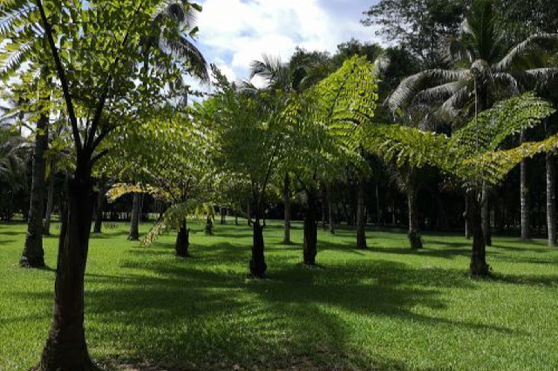 云南中科院西雙版納熱帶植物園票務管理系統(tǒng)哪家強.jpeg