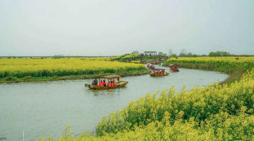 江蘇高郵清水潭旅游度假區綜合智能票務管理系統功能.png