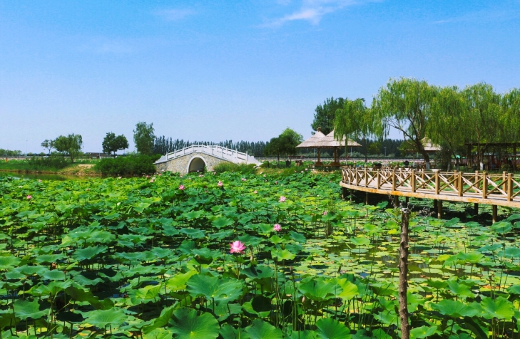 寧夏銀川鳴翠湖國(guó)家濕地公司多業(yè)態(tài)分賬管理系統(tǒng)多少錢(qián).png