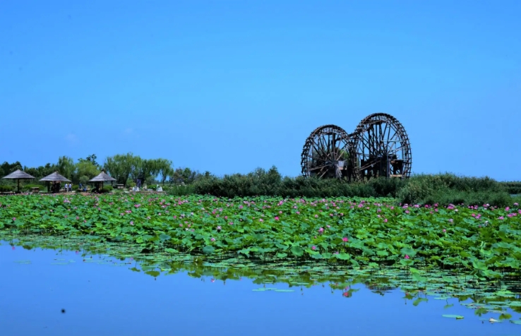 寧夏銀川鳴翠湖國家濕地公司多業態分賬管理系統功能需求.png