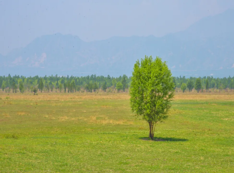 北京延慶康西草原風(fēng)景區(qū)一卡通系統(tǒng)功能.png