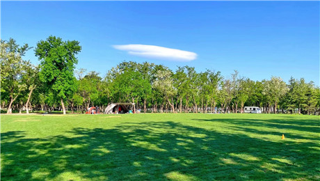 植物園電子票務系統給園區和游客帶來哪些紅利.jpg