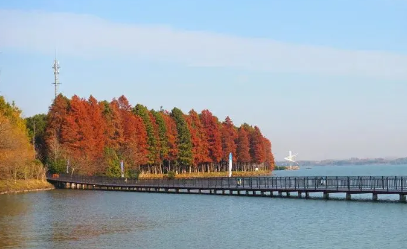 上海市崇明區西沙明珠湖景區景區票務管理系統公司.png