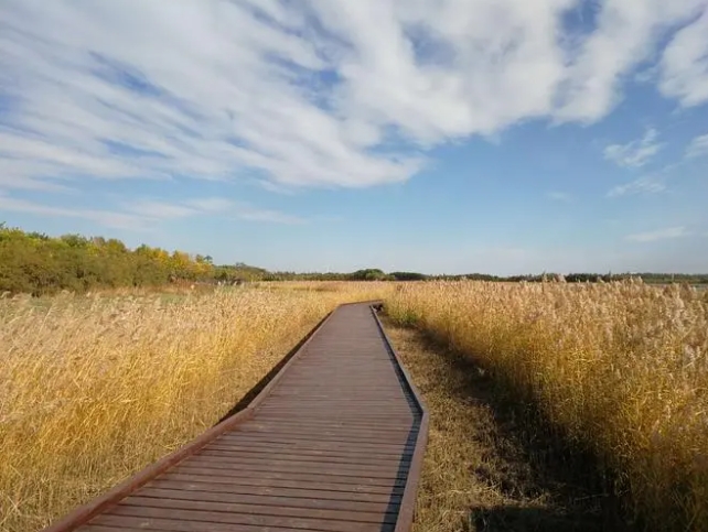 青海西寧郊野公園智能導覽管理系統價格.png