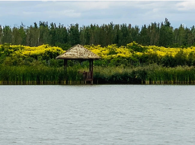 青海西寧郊野公園智能導覽管理系統解決方案.png