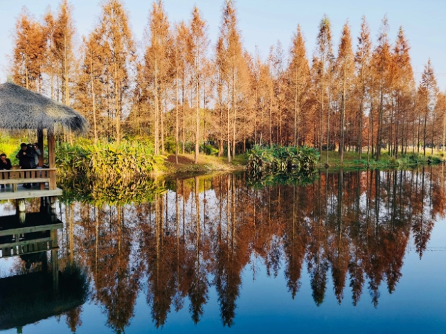 青海西寧郊野公園多業態綜合管理系統多少錢.png