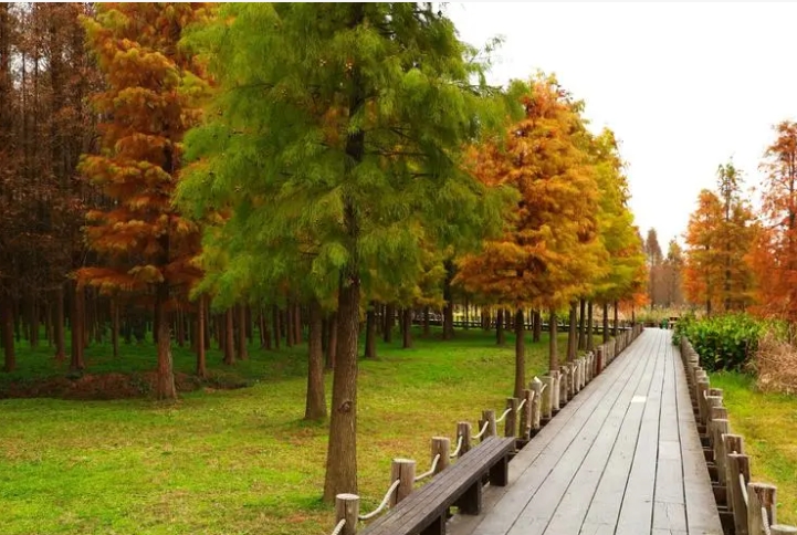 青海西寧郊野公園智能導覽管理系統開發公司.png