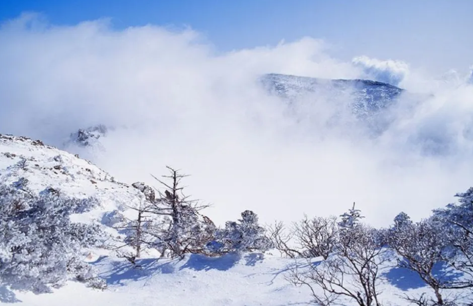 四川成都西嶺雪山景區綜合票管理系統功方案.png