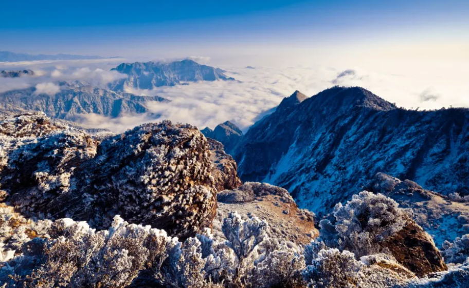 四川成都西嶺雪山景區綜合票管理系統公司.png