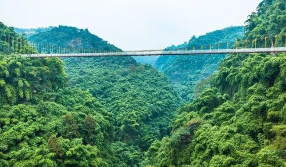 四川平樂古鎮川西竹海景區微信票務小程序系統方案.png