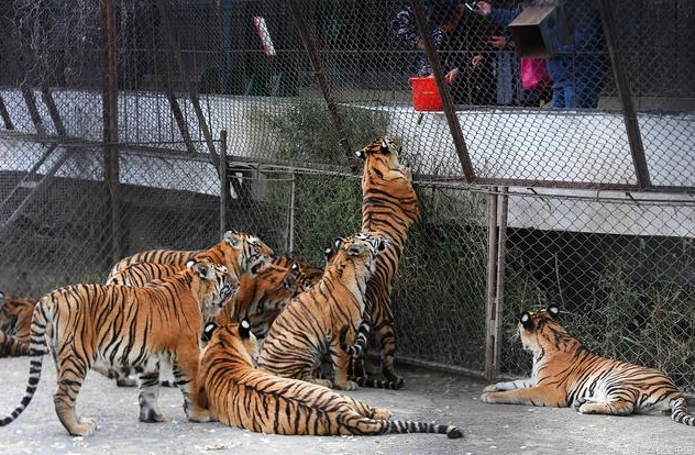 北京八達(dá)嶺長城野生動物園OTA對接管理系統(tǒng)功能.png