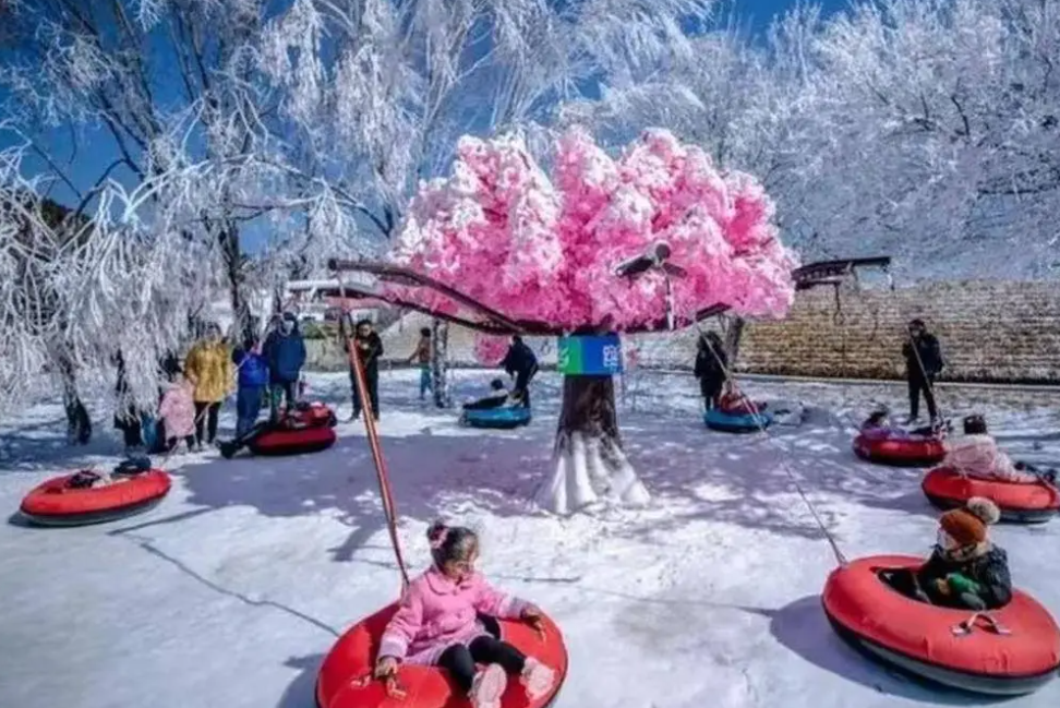 天津武清體育中心戲雪樂園票務一卡通方案.png