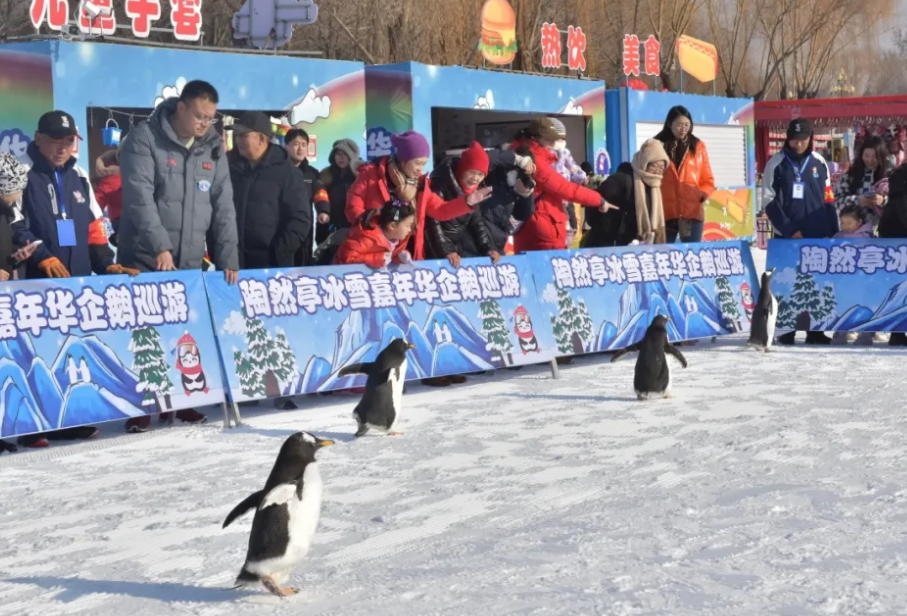 北京陶然亭公園滑雪場押金系統方案.png