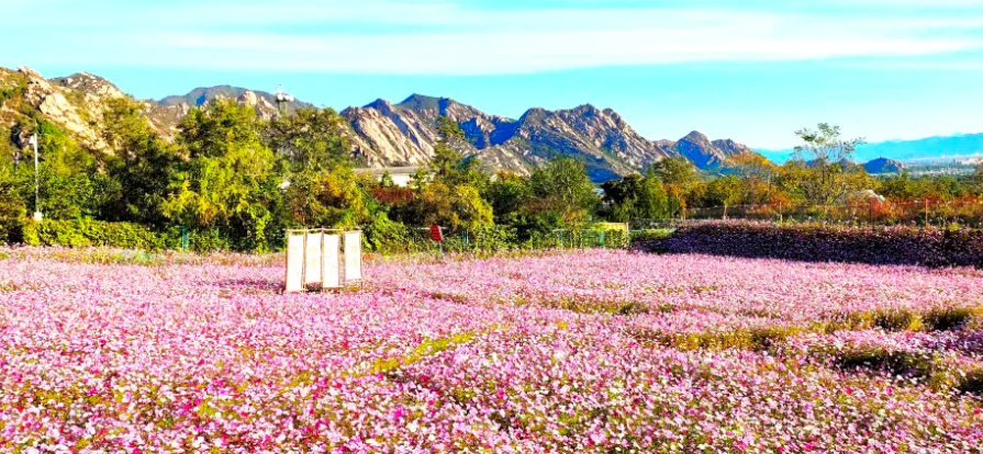 北京鳳凰嶺風(fēng)景區(qū)票務(wù)系統(tǒng)價(jià)格.png