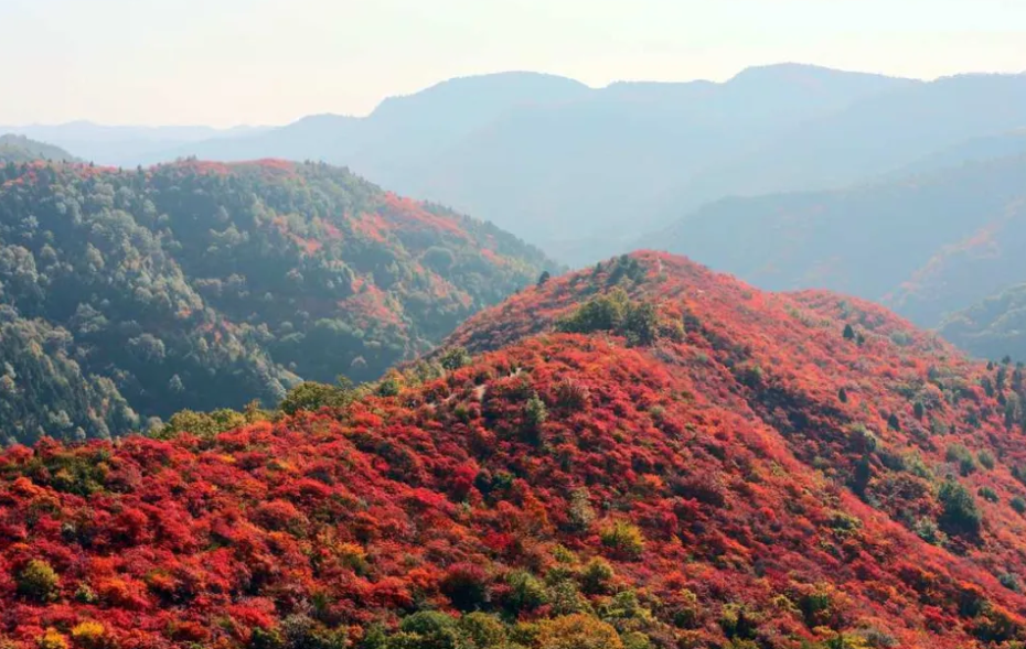 北京香山公園的票務系統多少錢.png