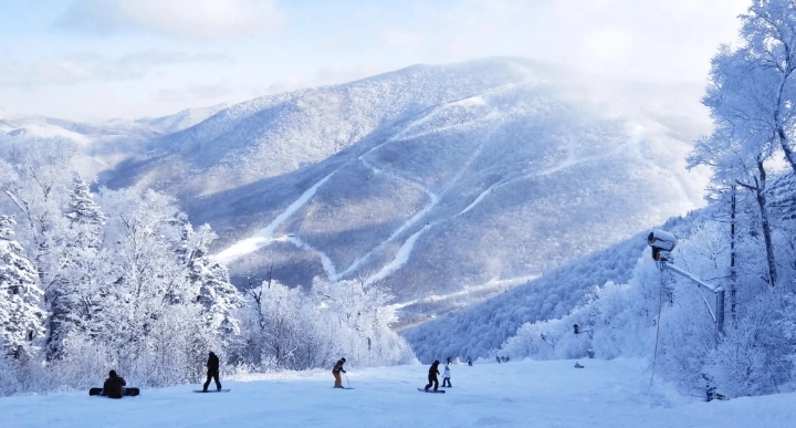 吉林北大湖滑雪場教練預約管理系統功能1.png