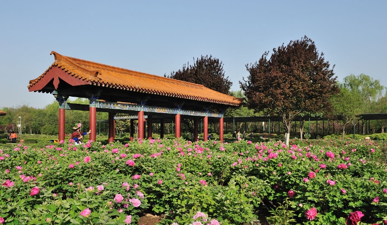 河南洛陽隋唐城遺址植物園票務多業態管理系統介紹1.png