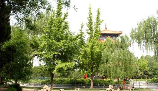 河南洛陽王城公園票務OTA對接管理系統哪家公司強?1.png