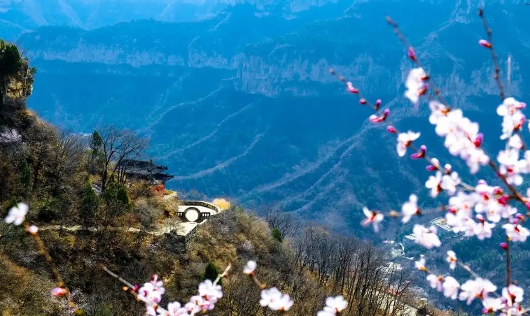 河北石家莊市天桂山景區(qū)電子票分銷系統(tǒng)價(jià)格?1.png