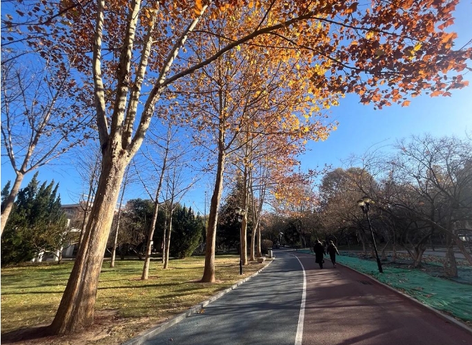 河北石家莊世紀公園票務OTA分銷系統解決方案.png