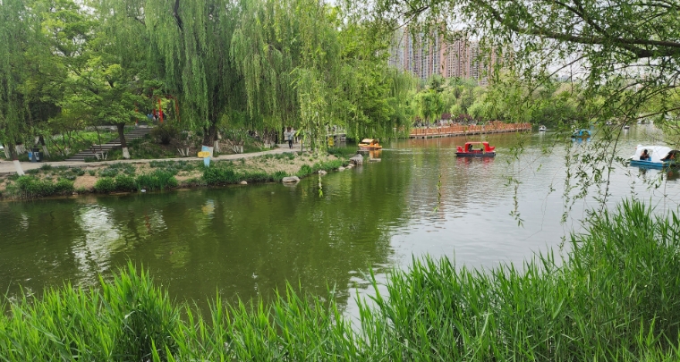 河北石家莊長安公園票務(wù)管理系統(tǒng)服務(wù)商.png