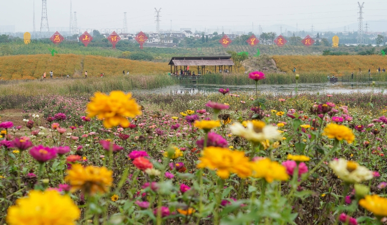 江蘇南京市江寧谷里金陵國花園景區檢票閘機系統 8 大功能.png