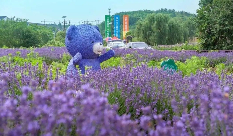 江蘇南京市江寧谷里金陵國花園景區檢票閘機系統介紹.png