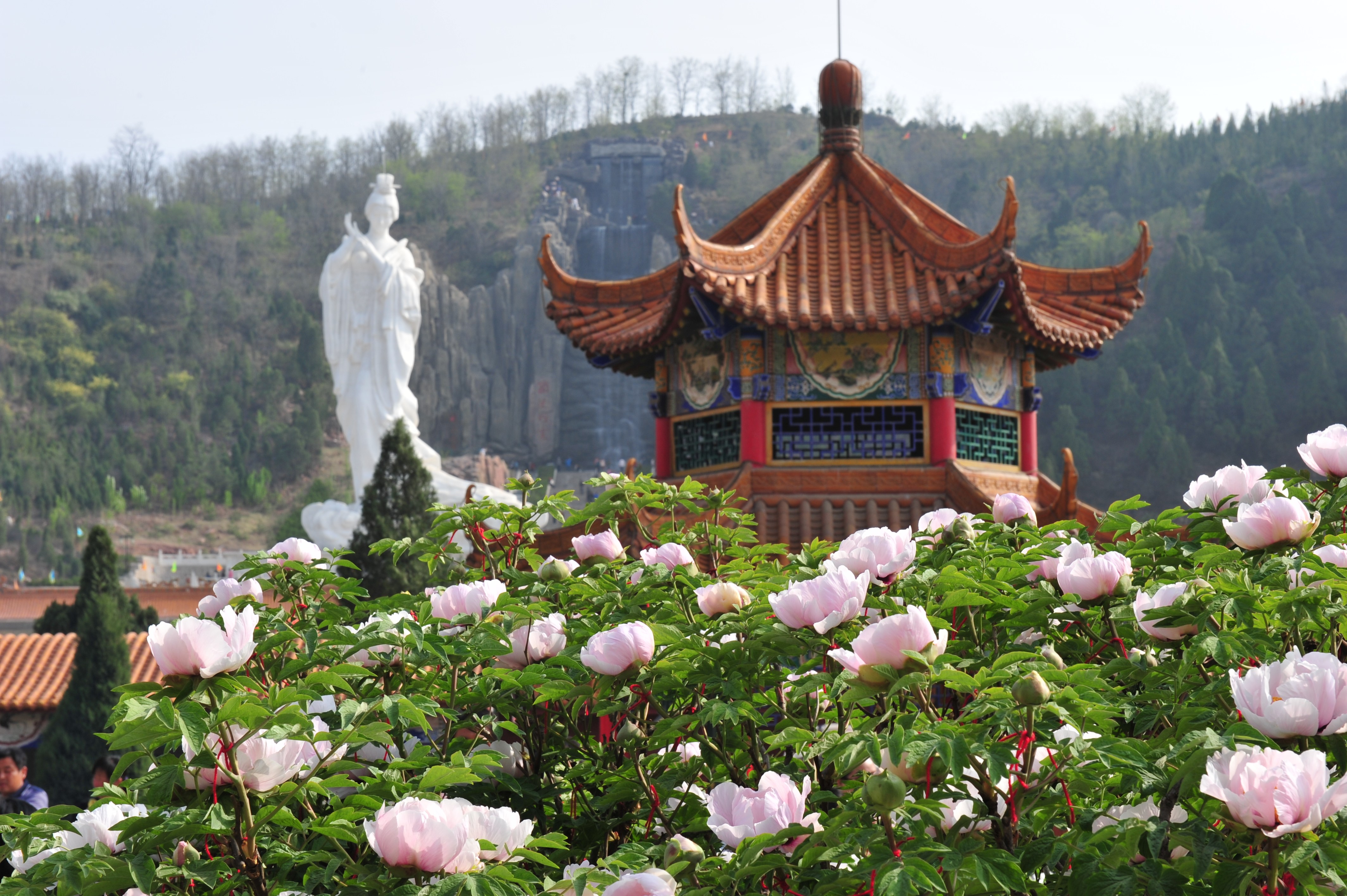 山西古縣牡丹旅游景區電子票綜合業態管理系統介紹.jpeg