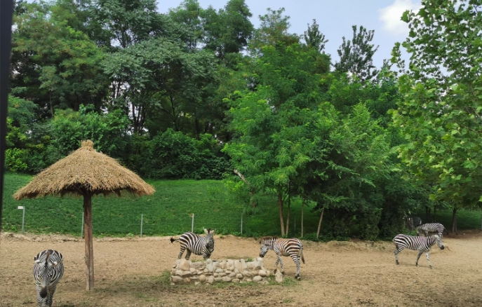 北京野生動物園景區電子票 OTA 對接系統價格.png