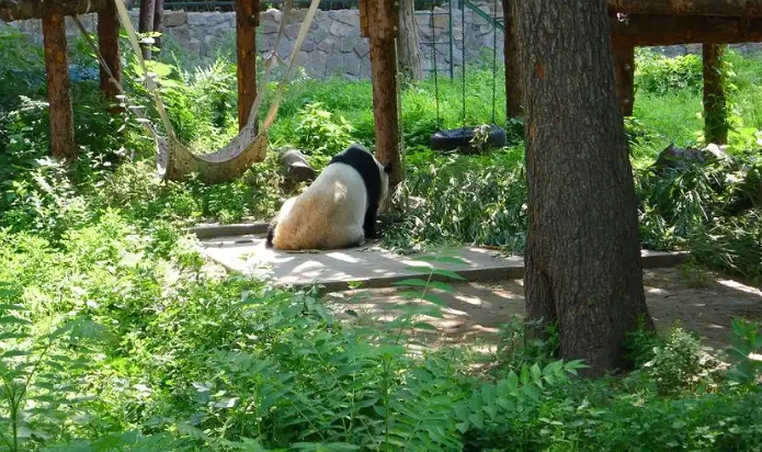 北京動物園電子門票管理系統服務商.png